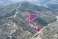 88660 SQM Land in Louvaras (Limassol) for sale 