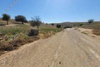 11037 SQM Land in Lympia (Nicosia) for sale 