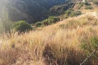 2342 SQM Land in Pano Pyrgos (Nicosia) for sale 
