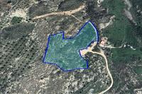 15051 SQM Land in Konia (Paphos) for sale 
