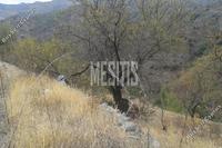 6689 SQM Plot in Palaichori Morfou (Nicosia) for sale 