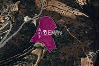 15385 SQM Land in Pano Akourdalia (Paphos) for sale 