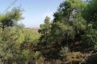 7358 SQM Land · Kapedes (Nicosia) for sale 
