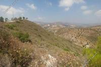 20820 SQM Land · Kalavasos (Larnaca) for sale 