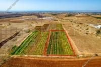 4683 SQM Plot · Peristerona Lefkosias (Nicosia) for sale 