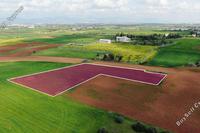 5070 SQM Land · Agioi Trimithias (Nicosia) for sale 