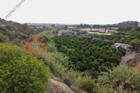 6021 SQM Land in Alaminos (Larnaca) for sale 