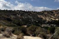 12041 SQM Land · Kalavasos (Larnaca) for sale 