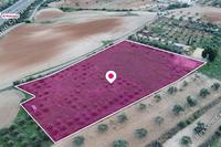 8938 SQM Land · Latsia (Nicosia) for sale 
