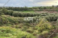 2610 SQM Land in Nikokleia (Paphos) for sale 