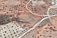 7358 SQM Land in Alaminos (Larnaca) for sale 