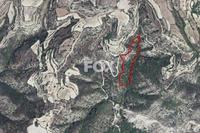 29767 SQM Land in Amargeti (Paphos) for sale 