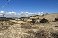6355 SQM Land in Lympia (Nicosia) for sale 