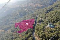 9481 SQM Land · Pano Platres (Limassol) for sale 