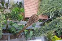 5 Bedroom Detached house · Kato Lakatamia (Nicosia) for sale 