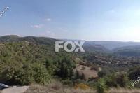 38800 SQM Land in Amargeti (Paphos) for sale 