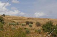 29767 SQM Land in Galataria (Paphos) for sale 