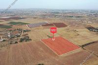 11814 SQM Land in Avgorou (Famagusta) for sale 
