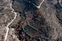12041 SQM Land in Dora (Limassol) for sale 