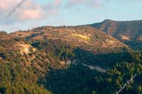 9031 SQM Land · Dora (Limassol) for sale 