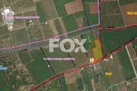 11311 SQM Land in Zakaki (Limassol) for sale 