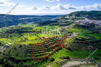 16545 SQM Plot in Dora (Limassol) for sale 