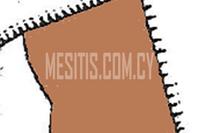 3336 SQM Plot in Latsia (Nicosia) for sale 