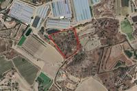 13795 SQM Land · Monagroulli (Limassol) for sale 