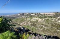 10300 SQM Land in Kathikas (Paphos) for sale 