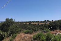 4683 SQM Land in Peyia (Paphos) for sale 