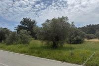 25438 SQM Land in Kornos (Larnaca) for sale 