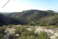 22743 SQM Land · Asgata (Limassol) for sale 