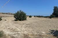 9698 SQM Land in Kalavasos (Larnaca) for sale 