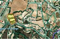 5686 SQM Land · Kallepeia (Paphos) for sale 