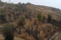 6522 SQM Land · Drimou (Paphos) for sale 