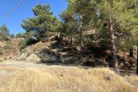 9700 SQM Land in Kakopetria (Nicosia) for sale 