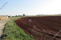 17325 SQM Land · Avgorou (Famagusta) for sale 