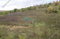 10703 SQM Land in Mitsero (Nicosia) for sale 