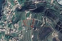 8631 SQM Land · Pomos (Paphos) for sale 