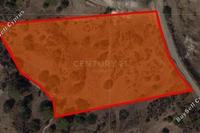 11143 SQM Land · Pyrgos Limassol (Limassol) for sale 