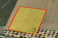 3011 SQM Land · Mammari (Nicosia) for sale 