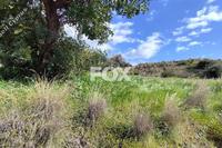 3345 SQM Land · Asgata (Limassol) for sale 