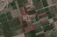169227 SQM Land in Akrotiri (Limassol) for sale 