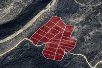 34700 SQM Plot · Psematismenos (Larnaca) for sale 