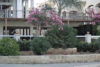 3 Bedroom Apartment in Potamos Germasogeias (Limassol) for sale 