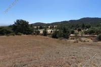 17392 SQM Land · Kato Koutrafas (Nicosia) for sale 