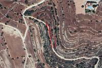 1240 SQM Land · Lofou (Limassol) for sale 