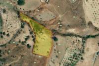 7500 SQM Land in Episkopi Pafou (Paphos) for sale 