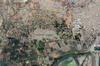 16054 SQM Land in Kolossi (Limassol) for sale 
