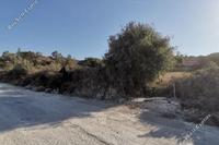 19399 SQM Land in Giolou (Paphos) for sale 